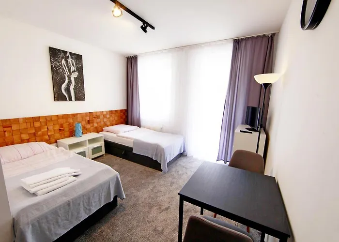 Park 米兹多洛杰