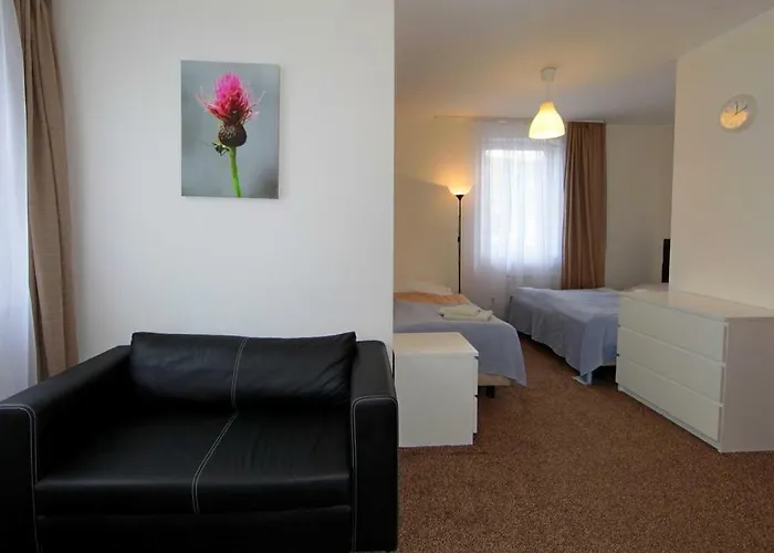 Park 米兹多洛杰